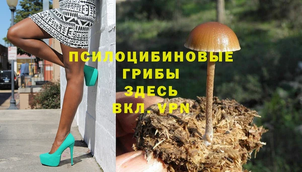 эйфоретик Алзамай