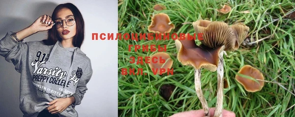 эйфоретик Алзамай
