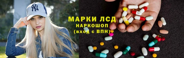 эйфоретик Алзамай